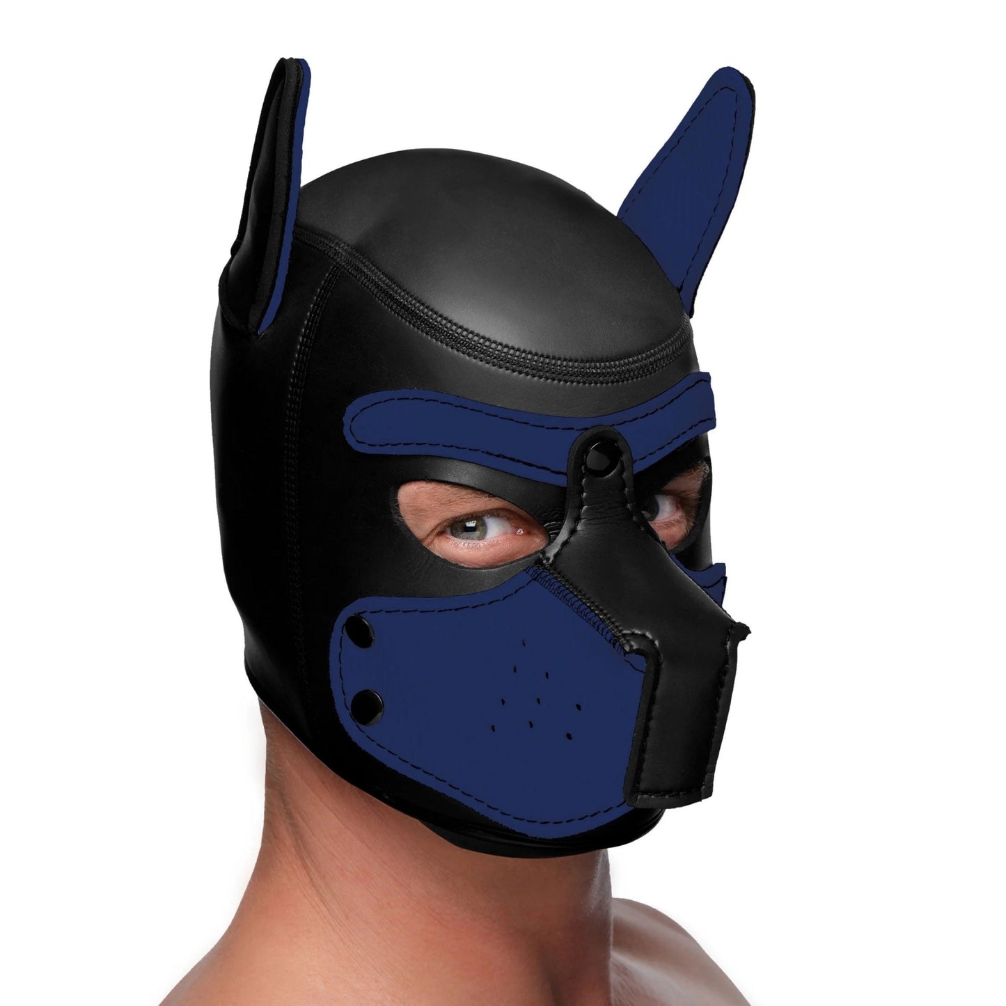 Spike Neoprene Puppy Hood - Blue - Time4Task2Toys