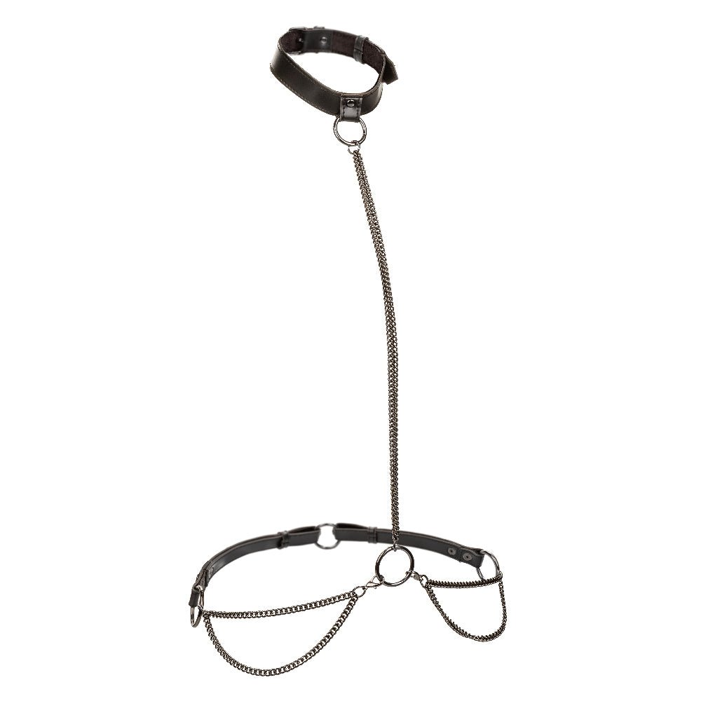 Euphoria Collection Plus Size Chain Halter/collar and Leash - Black - Time4Task2Toys
