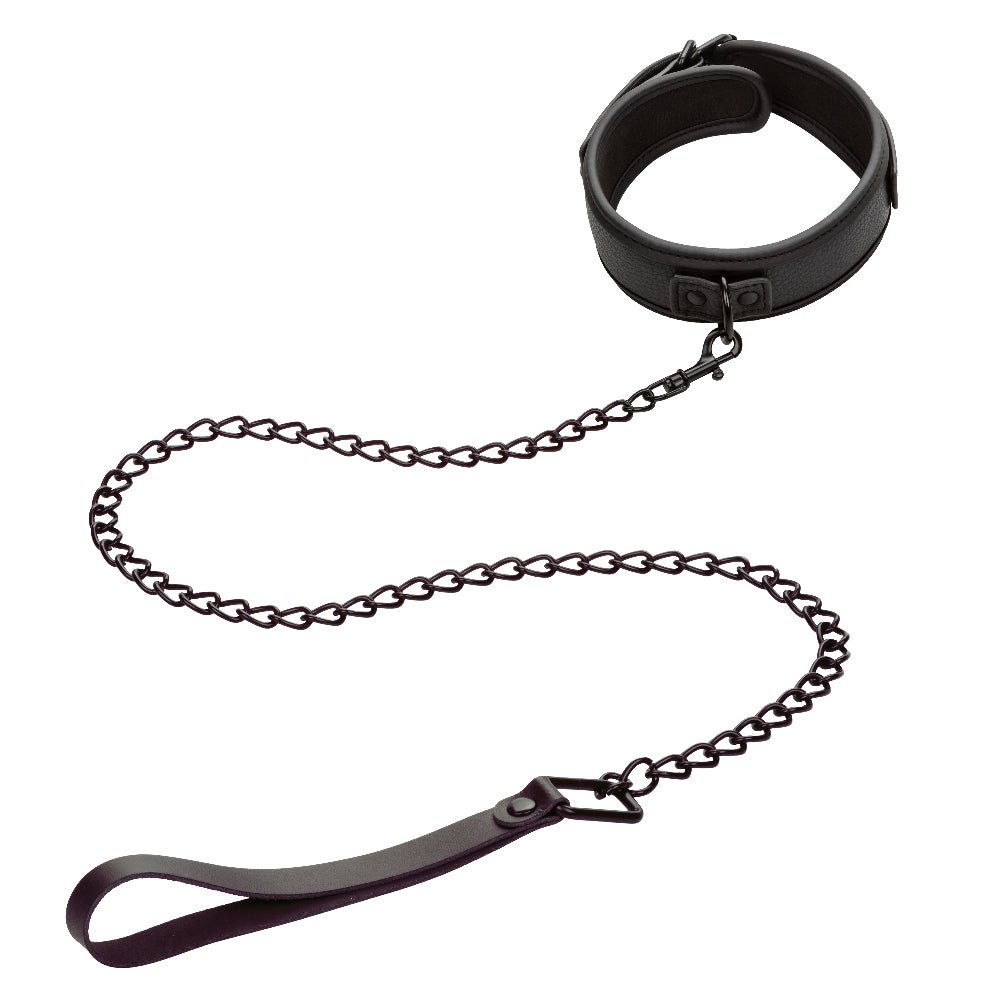 Nocturnal Collection Collar and Leash - Black - Time4Task2Toys
