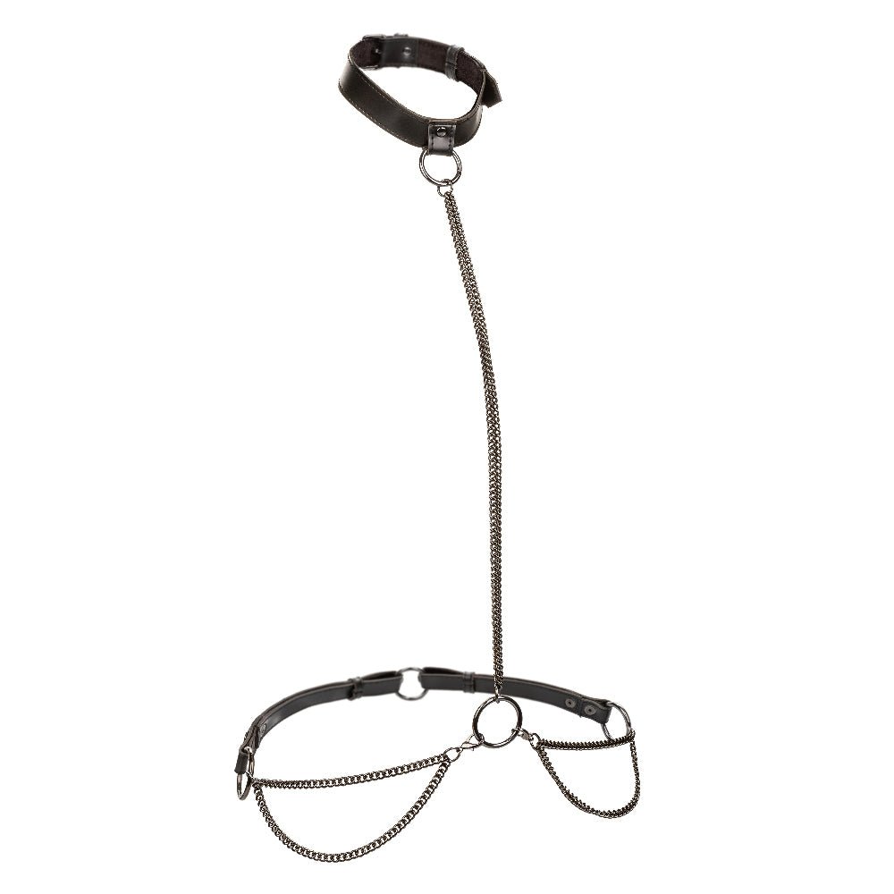 Euphoria Collection Chain Halter/collar and Leash - Black - Time4Task2Toys