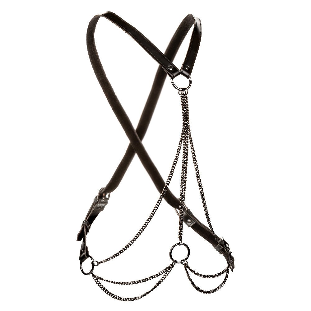 Euphoria Collection Multi Chain Harness - Black - Time4Task2Toys