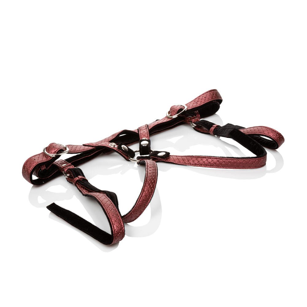 Her Royal Harness the Regal Duchess - Red - Time4Task2Toys