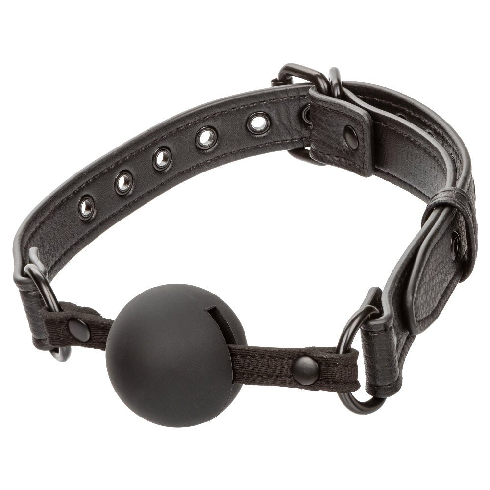 Nocturnal Collection Ball Gag - Black - Time4Task2Toys