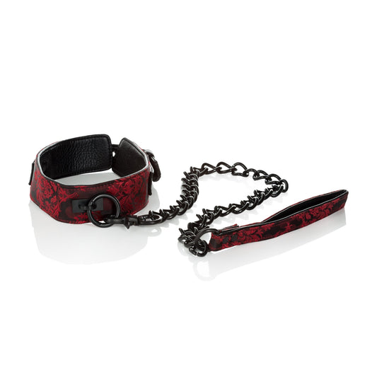 Scandal Collar With Leash - Time4Task2Toys