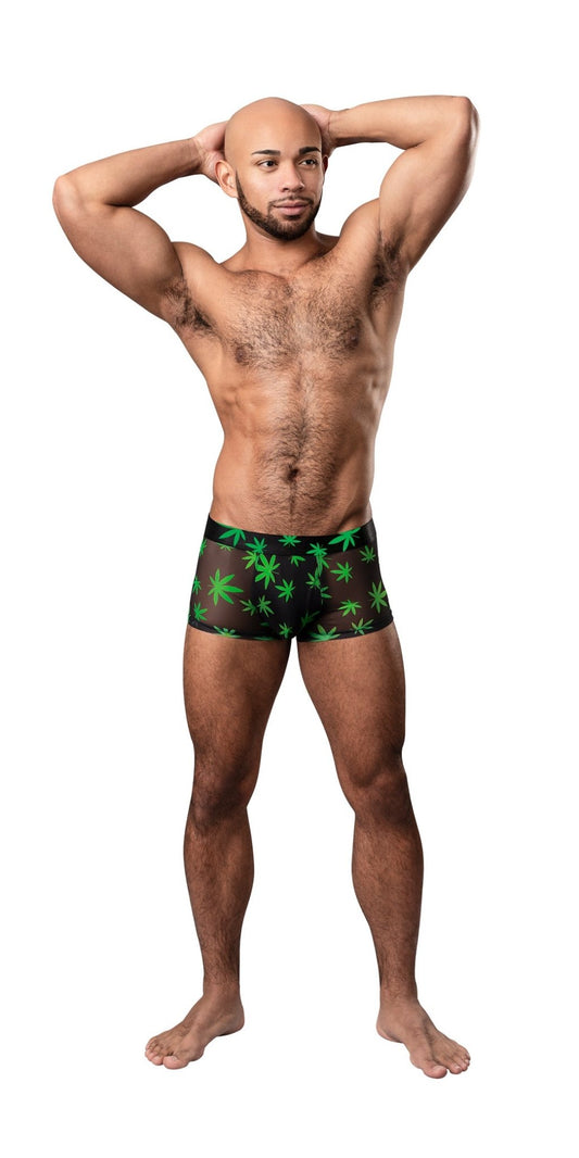 Hazy Dayz - Pouch Short - Large - Pot Leaf - Time4Task2Toys