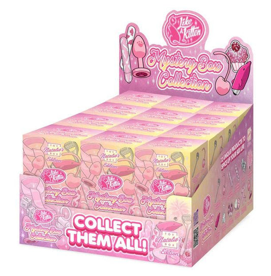 Mystery Box 12 Pc. Display - Natalies Toy Box Edition - Time4Task2Toys